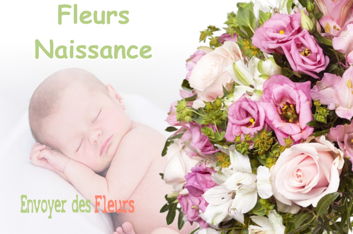 lIVRAISON FLEURS NAISSANCE à LA-COUR-MARIGNY